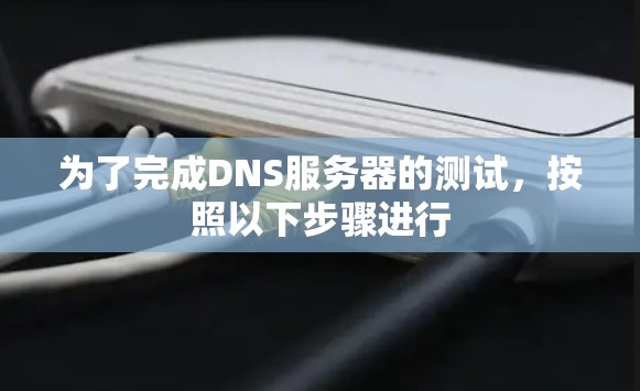 为了完成DNS服务器的测试，按照以下步骤进行