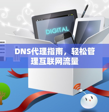 DNS代理指南，轻松管理互联网流量
