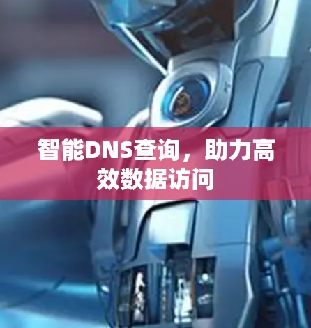 智能DNS查询，助力高效数据访问