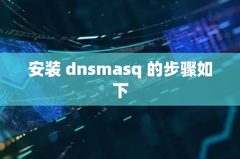 安装 dnsmasq 的步骤如下