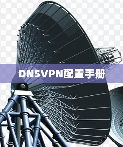DNSVPN配置手册